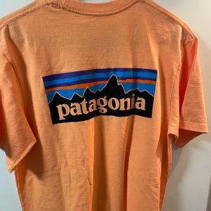 Men’s Lightweight Orange Patagonia Tee.
